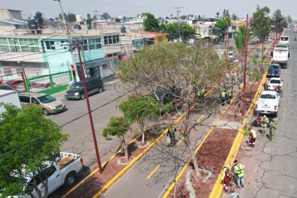 whatsapp image 2026 04 22 at 3.45.27 pm