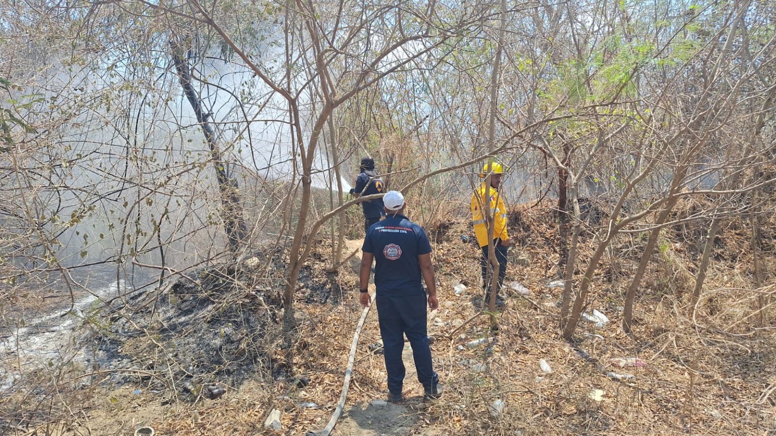 acapulco incendio 03