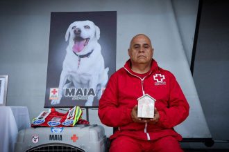 cruz roja mexicana despide a maia mascota