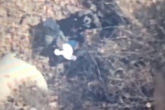 el jardinero cjng sedena