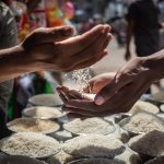 fao alimentos 01