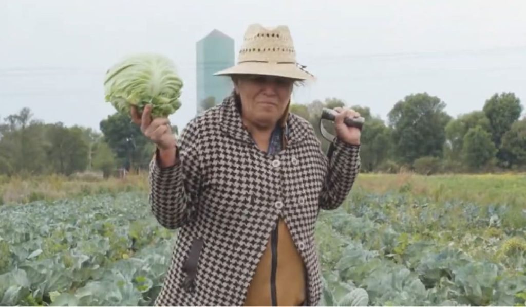mexicano agricultor