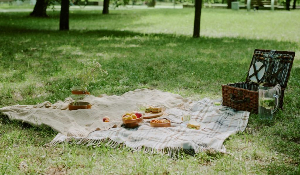 picnic