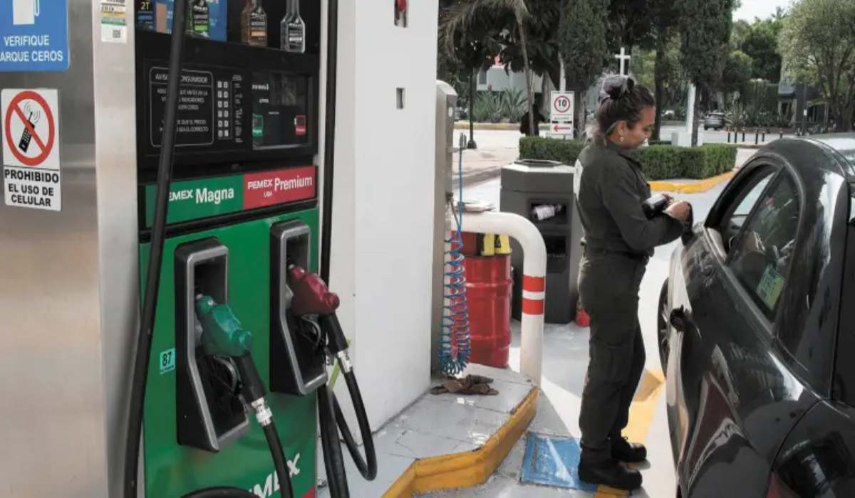 que gasolina necesita tu auto