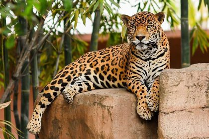 cpb 018 2026. recibe zoologico tamatan a familias con espacios renovados 4