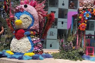 festival de las flores polanco