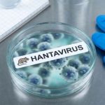 hantavirus