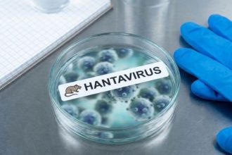hantavirus