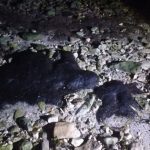hidrocarburo en campeche