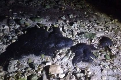 hidrocarburo en campeche
