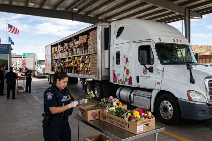 inspección a flores