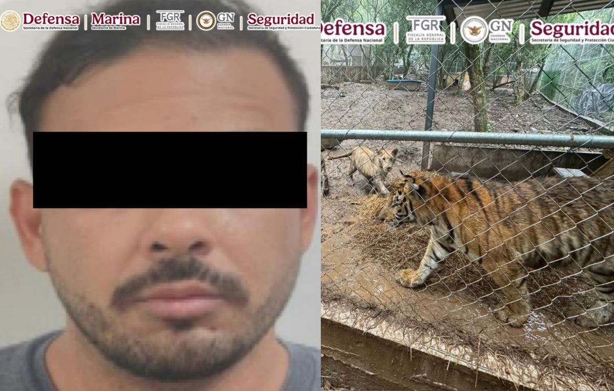 Detienen a líder de cártel con tigres | Omar Garcia Harfuch