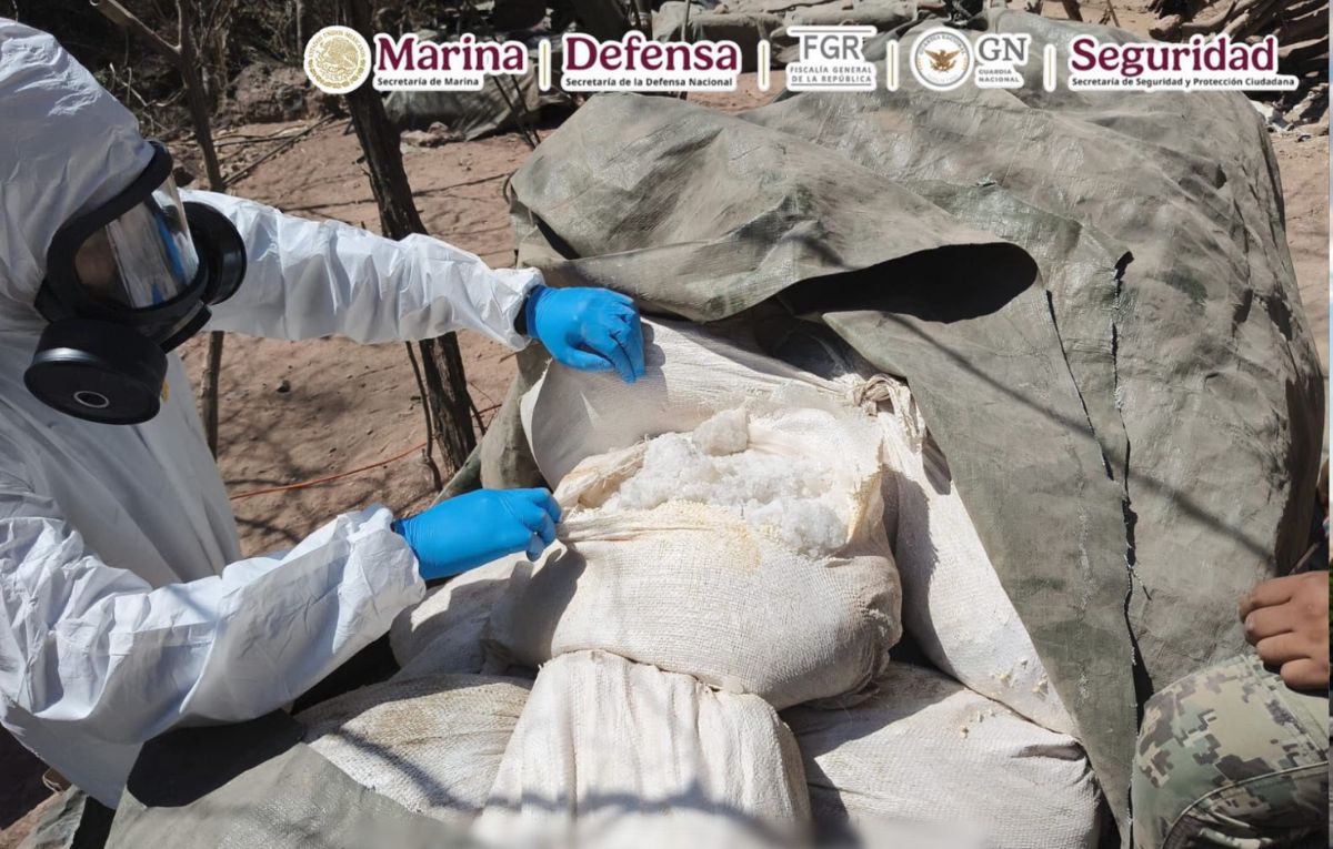 Desmantelan narcolaboratorios en Sinaloa | Gabinete de Seguridad