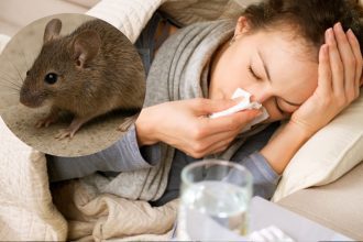 Estos son los síntomas de hantavirus | Especial