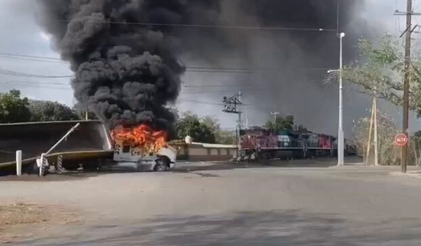 colima tecoman