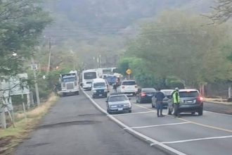 michocán cotija (2)