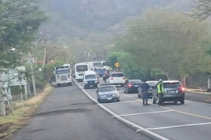 michocán cotija (2)