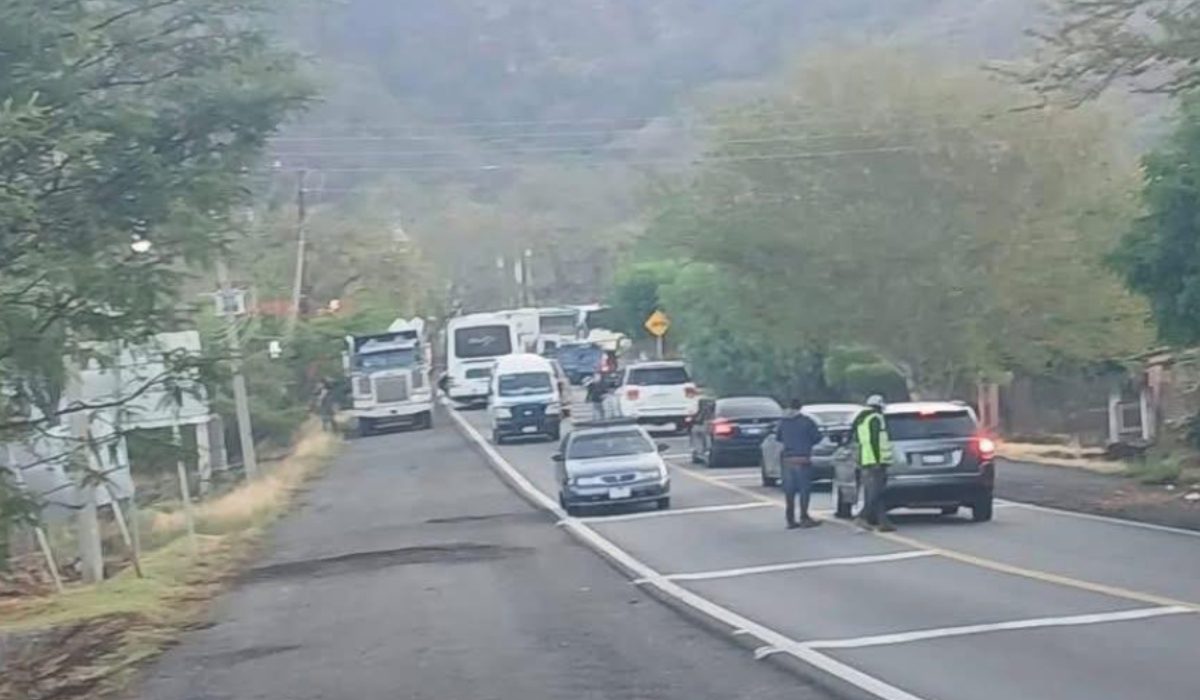 michocán cotija (2)