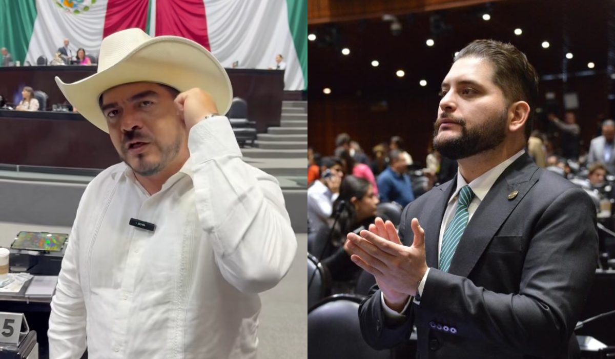 morena pri diputados (1)