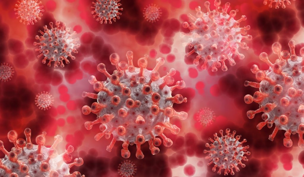 norovirus caribe 01