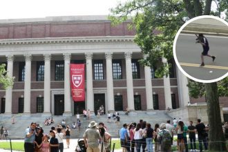 tiroteo cerca de harvard hombre abre fuego y deja 2 personas heridas video