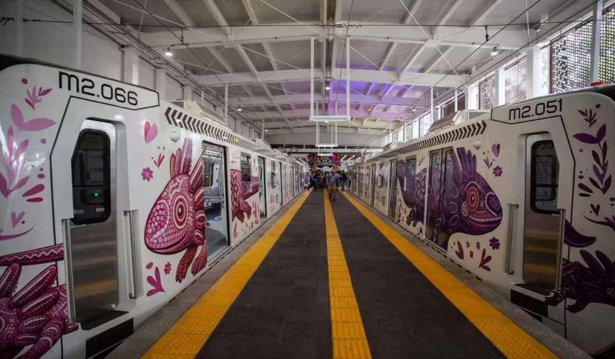 tren ligero ajolote 02