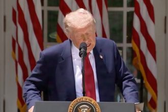 trump mexico