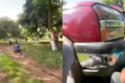 violencia michoacan