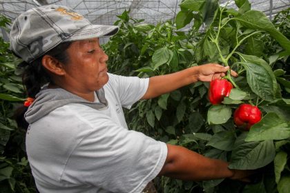día de la mujer rural