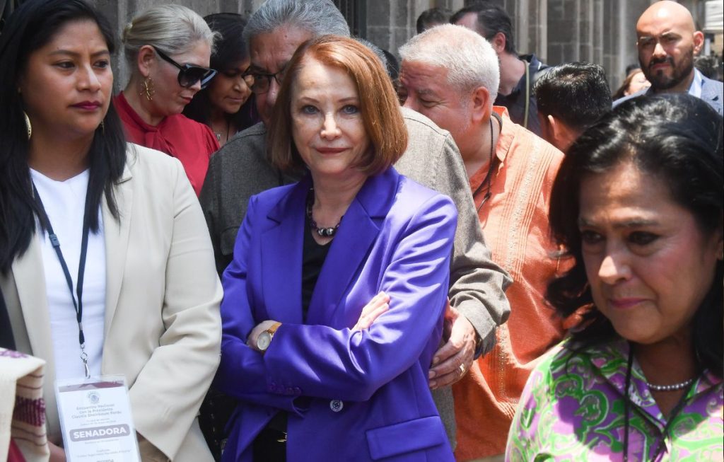 laura itzel castillo senado