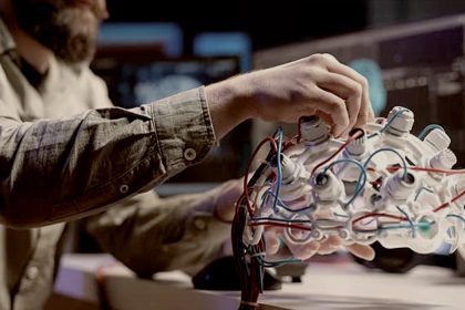 neuroempleabilidad empresarial