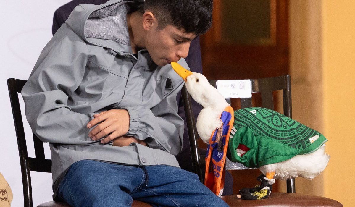 pato merlín registrado ante el impi