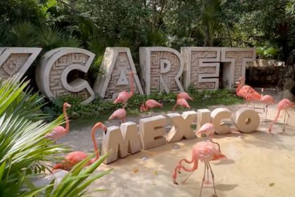 XCARET