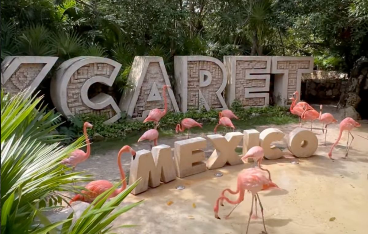 XCARET