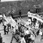 Halconazo en la CDMX en junio | UNAM