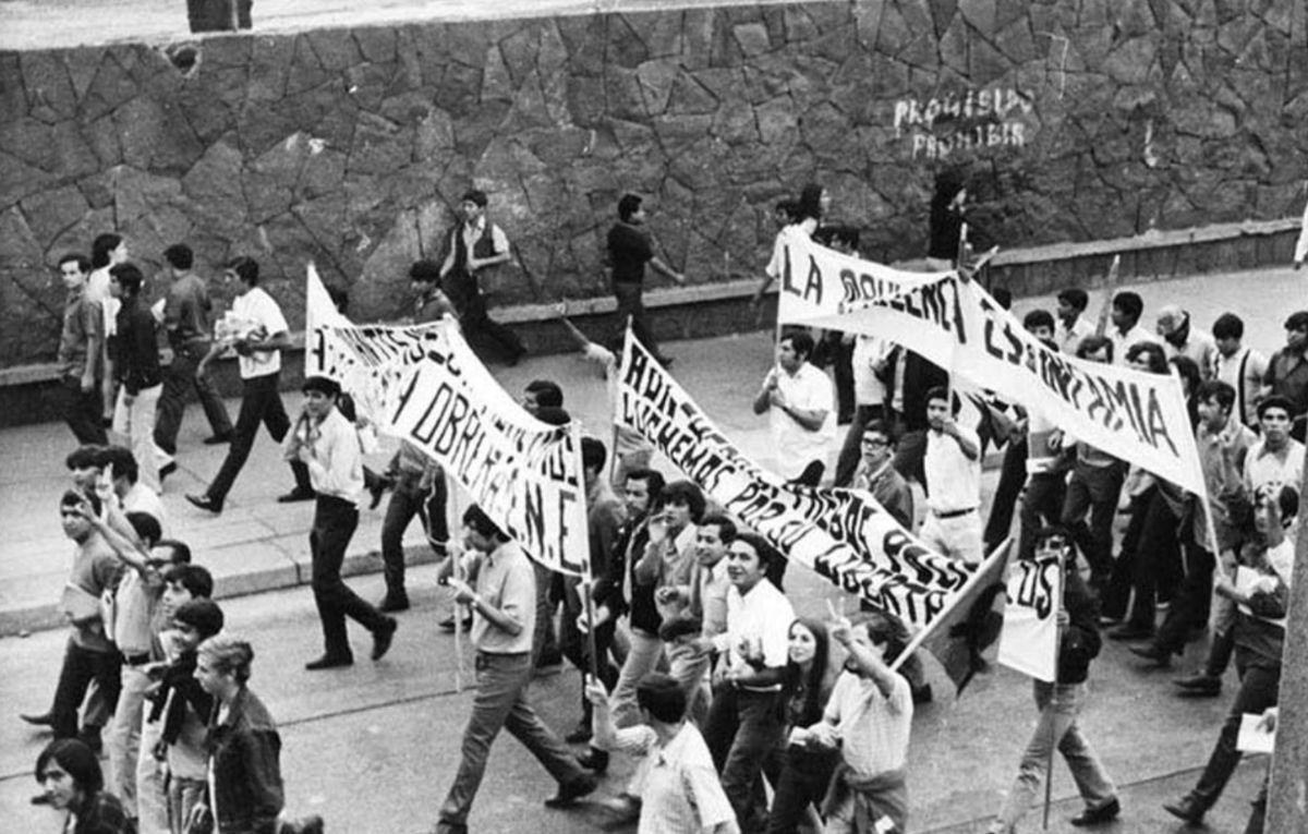 Halconazo en la CDMX en junio | UNAM