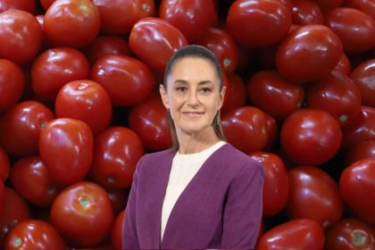 Claudia Sheinbaum baja el precio del jitomate | Especial
