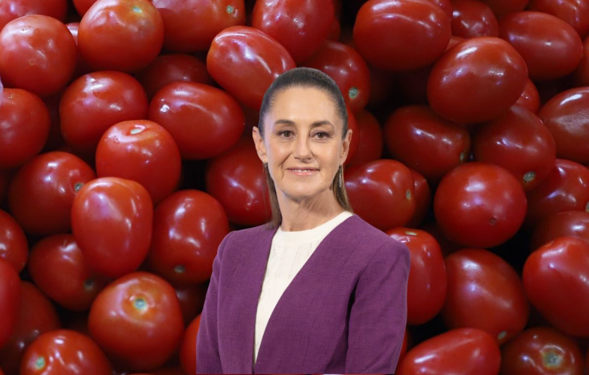 Claudia Sheinbaum baja el precio del jitomate | Especial