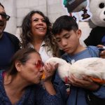 CIUDAD DE MÉXICO, 25JUNIO2026.- El Pato Merlín, nuevo embajador oficial de la Ciudad de México para el Mundial 2026, recibe un beso por una señora que acudió a conocerlo en la explanada del Palacio de Bellas Artes. FOTO: GRACIELA LÓPEZ/CUARTOSCURO.COM