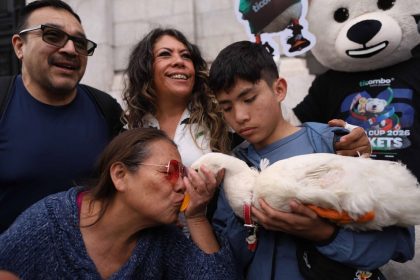 CIUDAD DE MÉXICO, 25JUNIO2026.- El Pato Merlín, nuevo embajador oficial de la Ciudad de México para el Mundial 2026, recibe un beso por una señora que acudió a conocerlo en la explanada del Palacio de Bellas Artes. FOTO: GRACIELA LÓPEZ/CUARTOSCURO.COM