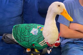 El Pato Merlín en cachoperiodista.com | Enrique Rodríguez