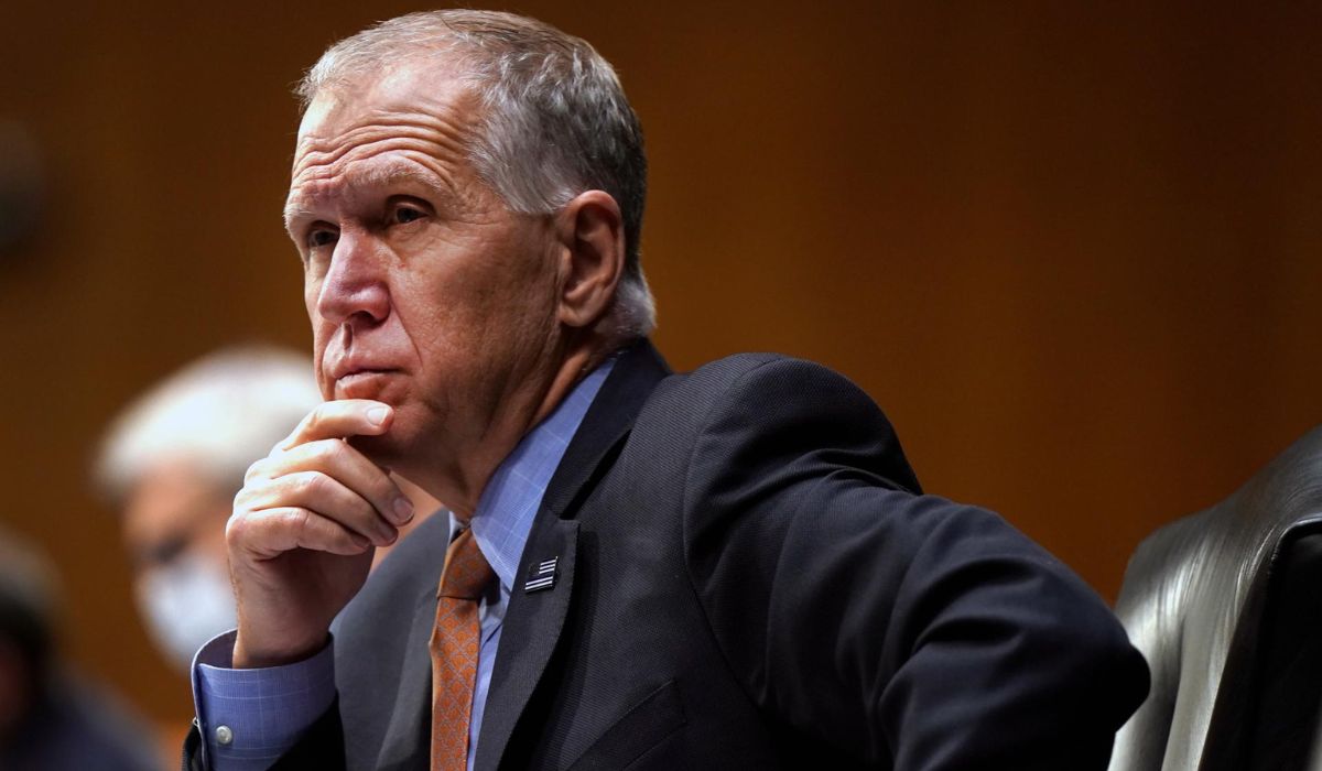 thom tillis