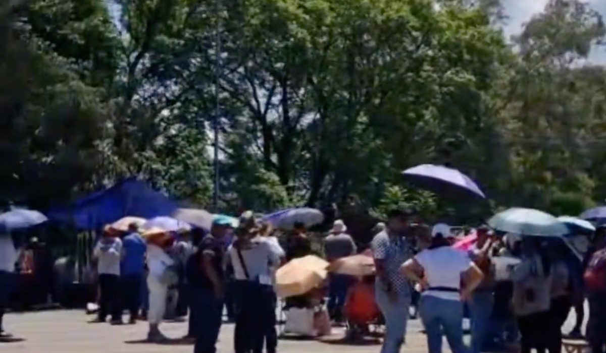 cnte oaxaca (1)
