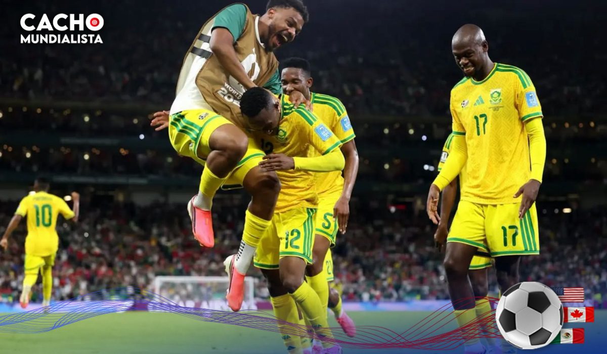 sudafrica mundial 04