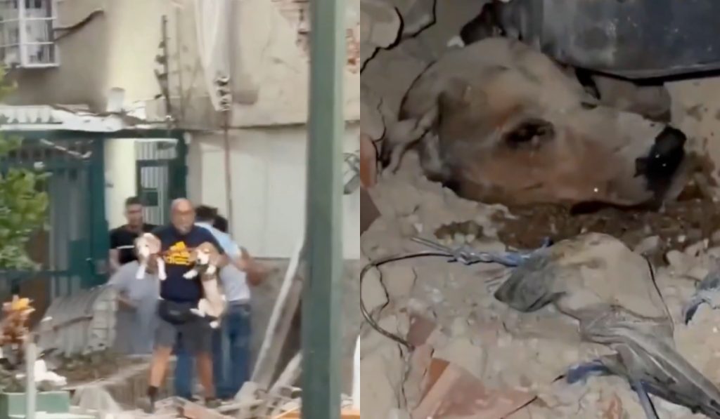 venezuela terremoto