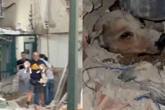 venezuela terremoto