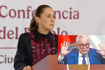 plantilla ana (2)