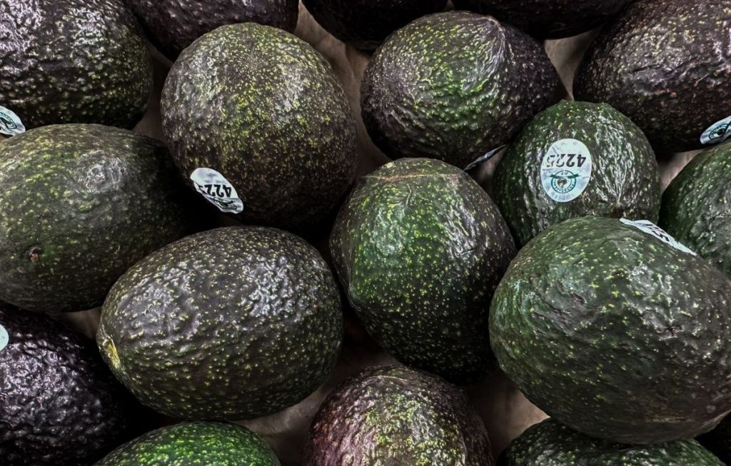 Aguacate subió de precio en junio | FOTO: ANDREA MURCIA /CUARTOSCURO.COM