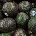 Aguacate subió de precio en junio | FOTO: ANDREA MURCIA /CUARTOSCURO.COM