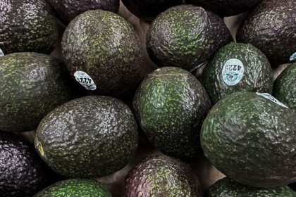 Aguacate subió de precio en junio | FOTO: ANDREA MURCIA /CUARTOSCURO.COM